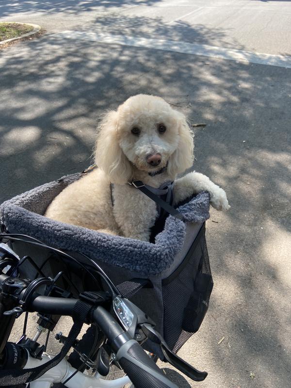 Dog basket for online road bike