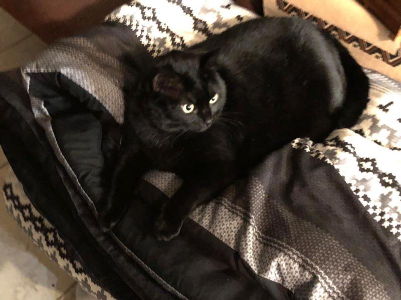 Tasha in better days.   <3