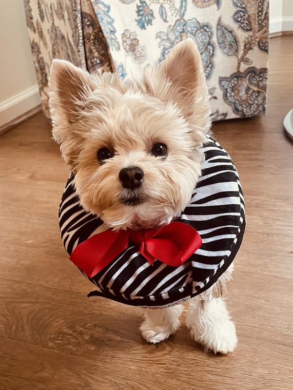 Don’t I look handsome?