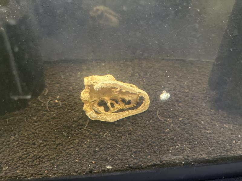 They just bubble away.