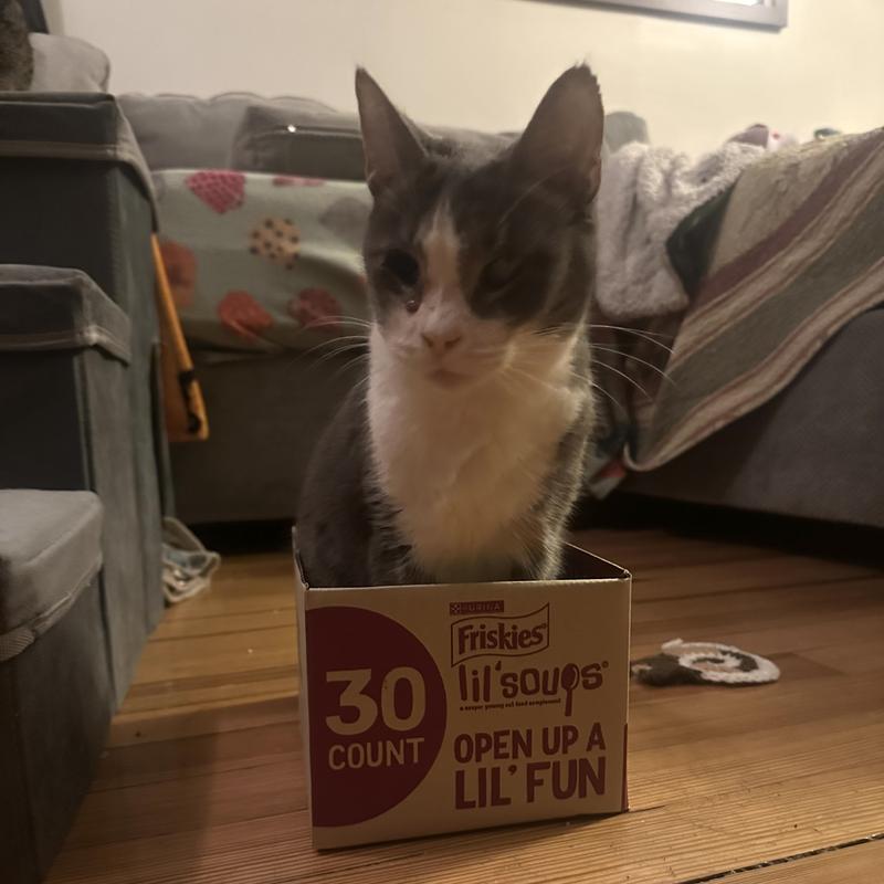 She is a little Granny who loves lil soups!!