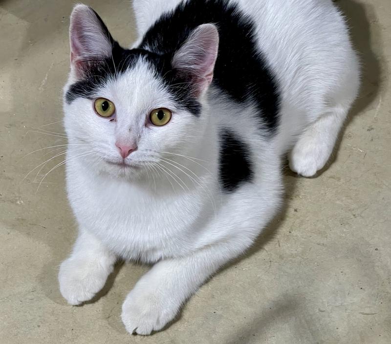 This is Cooper!