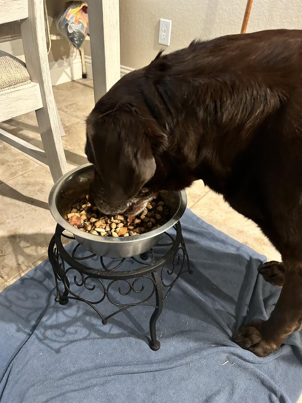 Bonnie just loves it!!