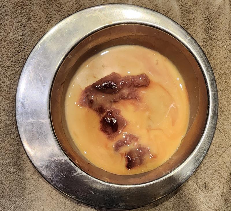 Tasteless even with treats in it