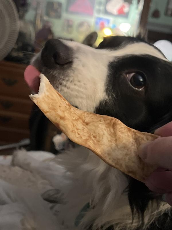 shes loves licking them