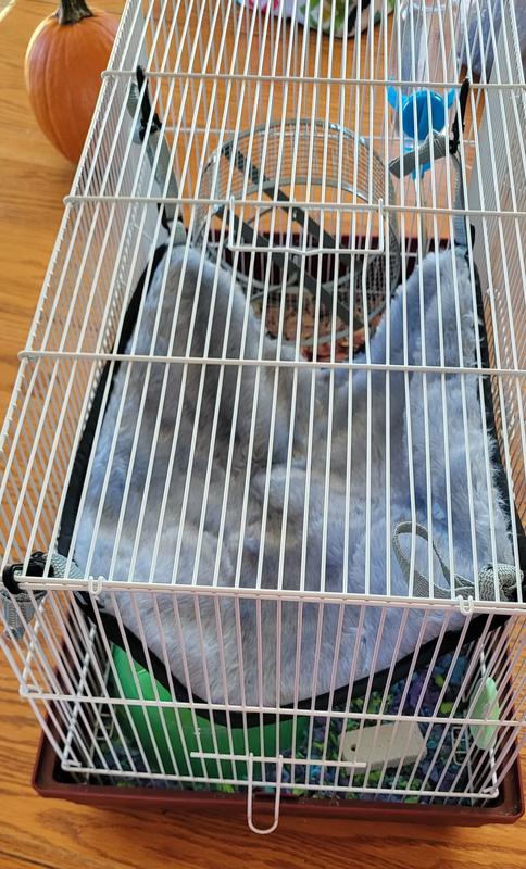 A little large for our cage.