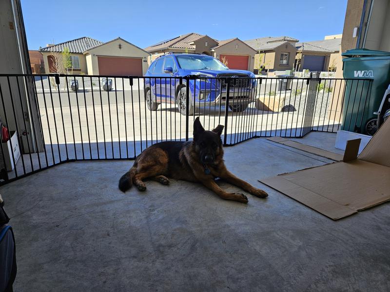 FRISCO Steel 8Panel Configurable Dog Gate and Playpen, 30in, Grey