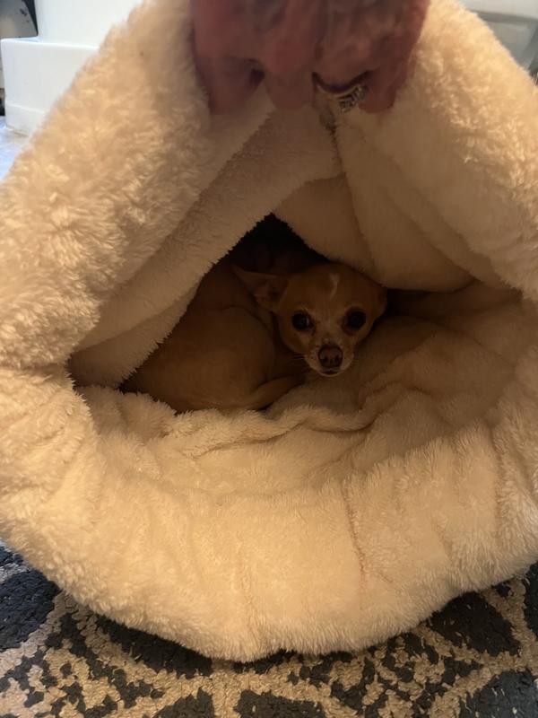 Gracie is happy to stay in it all day!