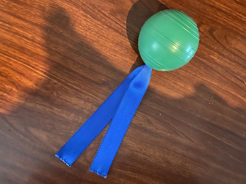 Picture of toy. My dogs didn't seem to interested.