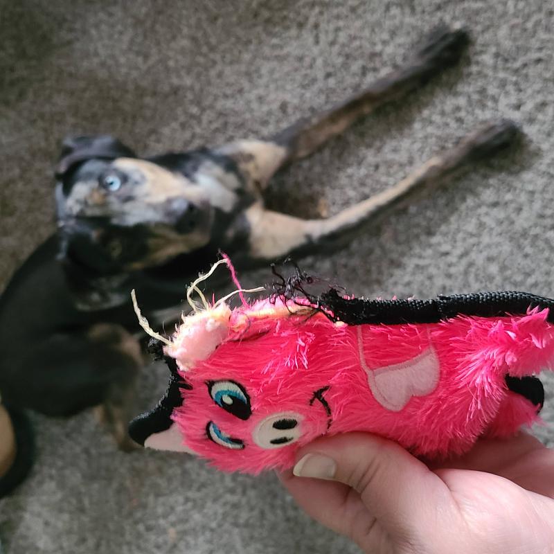 Outward Hound Durablez Tough Plush Squeaky Dog Toy, Pig, Pink, XS