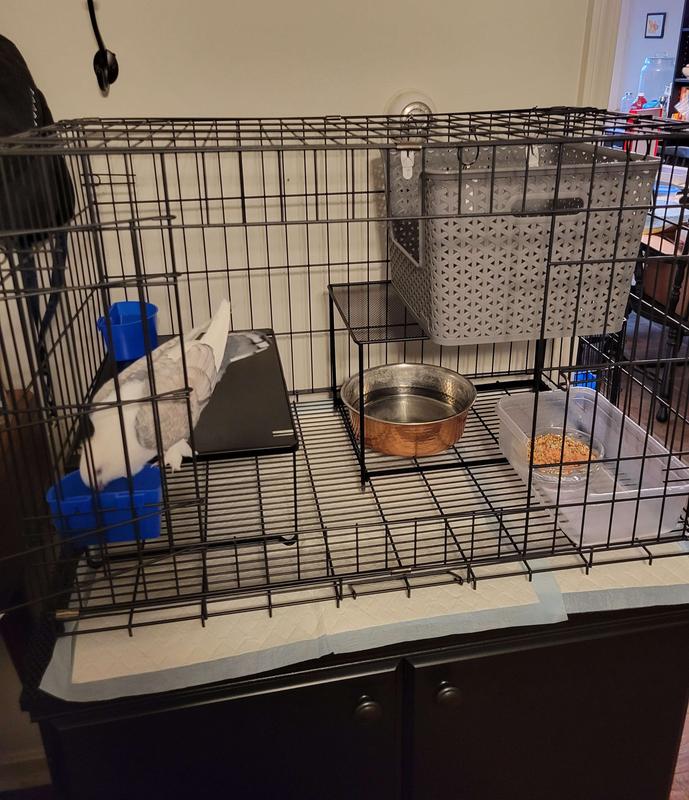 Pearl in the 30" cage