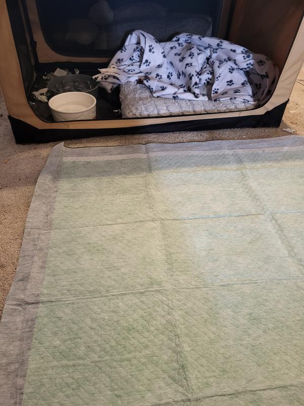 pad compared to kennel