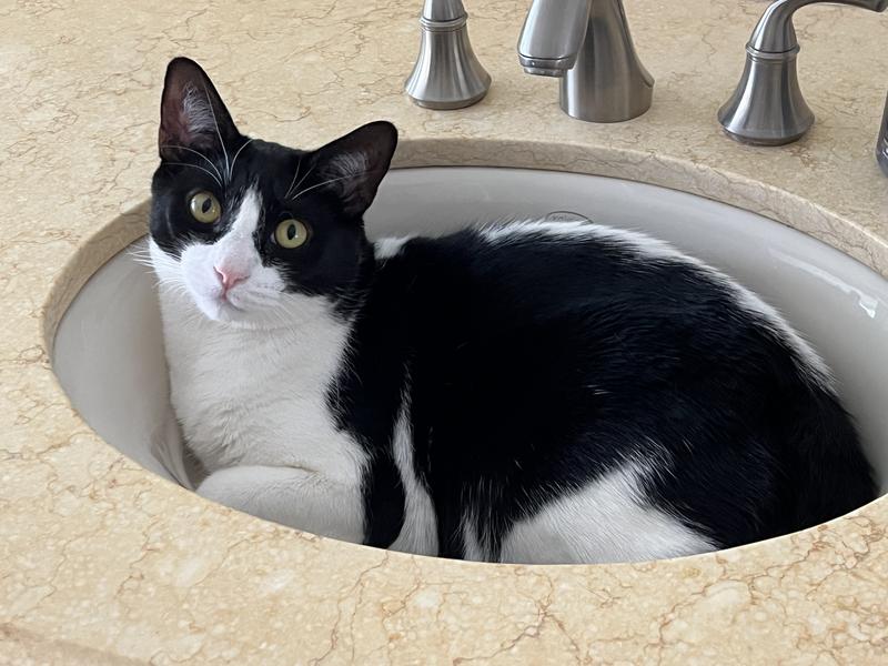 Leo ready for his bath