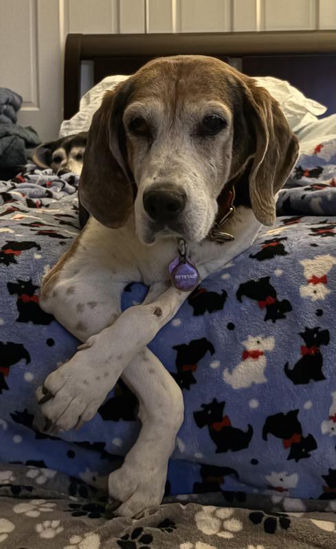 Cricket’s favorite treat!