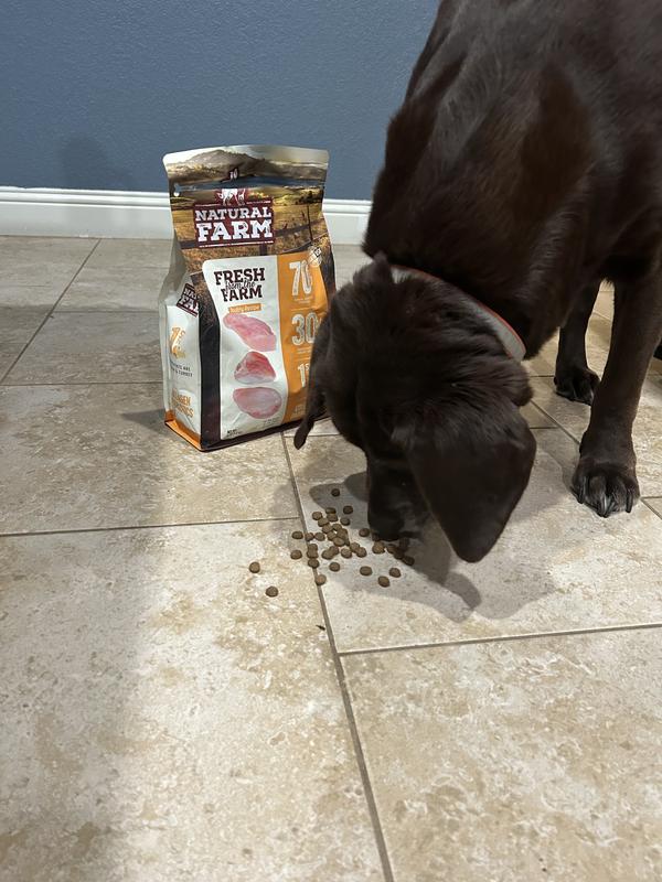 Bonnie loves the chicken flavor