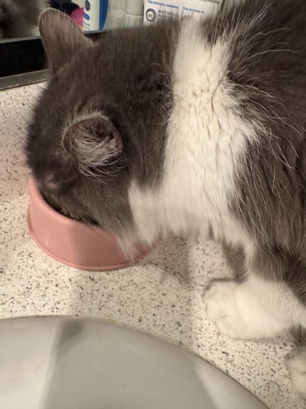 She likes the taste!