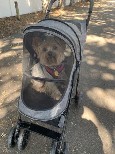 Temporarily Unavailable - PET GEAR Happy Trails Pet Stroller, Dark ...