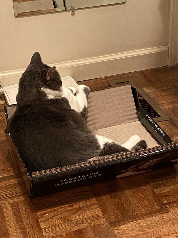 OMEGA PAW Ripple Board Scratch Massage Cat Bed Chewy