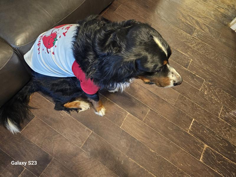 Super cute and comfy.