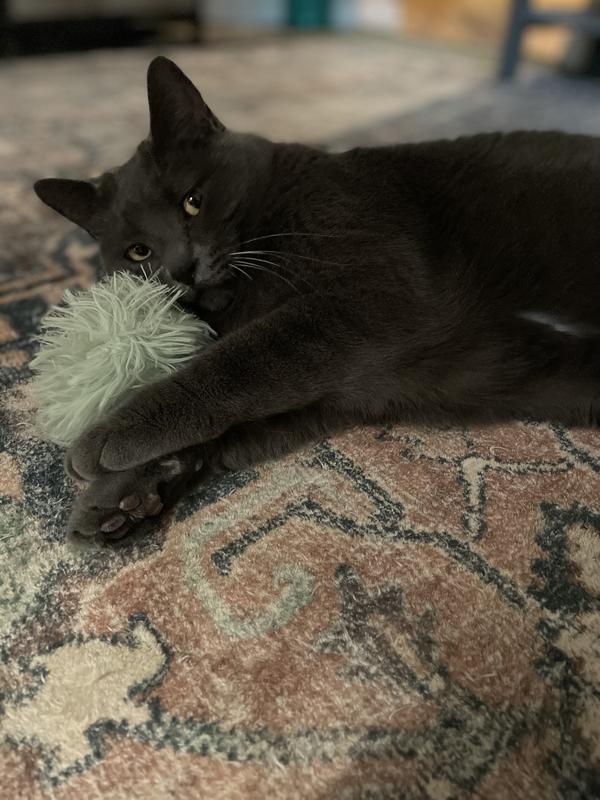 "Mmmmmy precious"