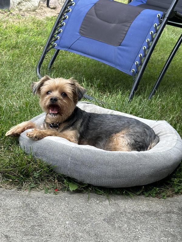 Has to have and outdoor bed as well as about a dozen indoor beds.