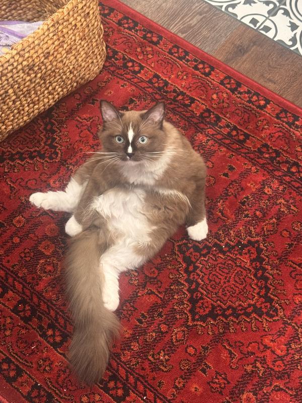 Bonnie gives it a thumbs up!