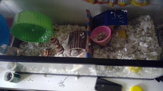 my gerbil enclosure :)