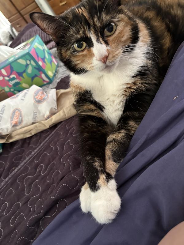 Peanut
