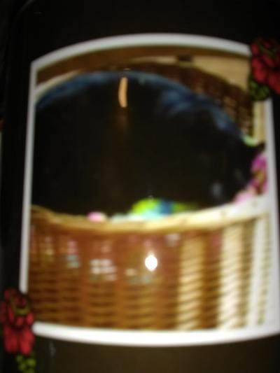 Chocolate my mom's fur baby.