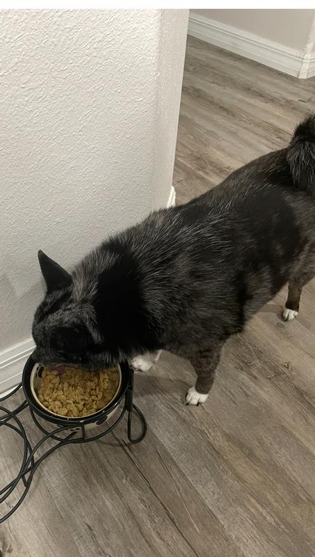 Had no problem eating it