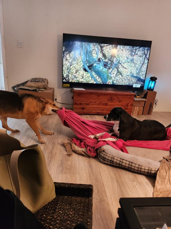 Girls happy after dinner time