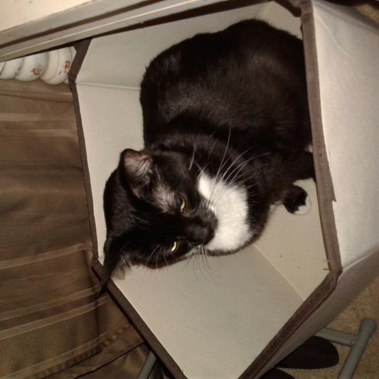 Zen in a box
