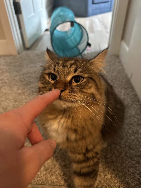 The toy is HAZARDOUS