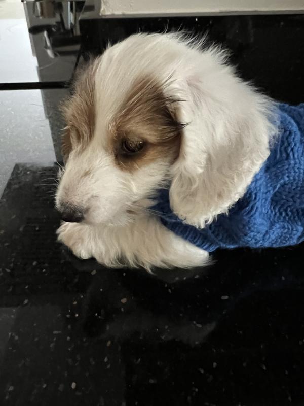 Up to trouble no doubt!