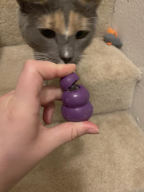 Kitty kong and easy treat for cats best sale