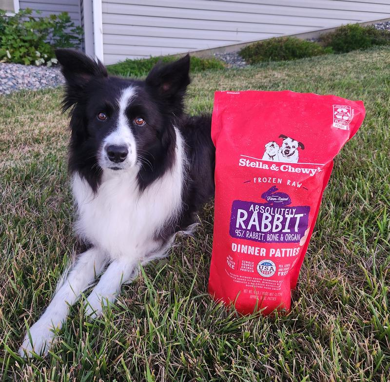 Border Collie Approved!