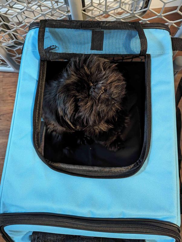 PET GEAR Signature Dog & Cat Car Seat & Carrier Bag, Aqua 