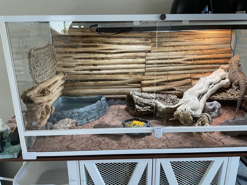 Plenty large enough for him to get into.