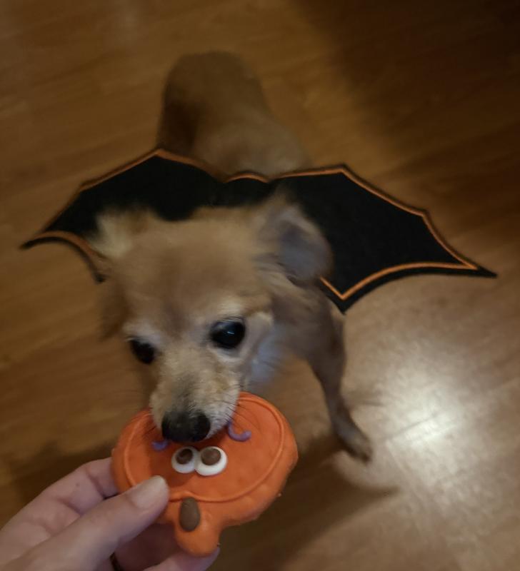 Yummy Halloween treat!