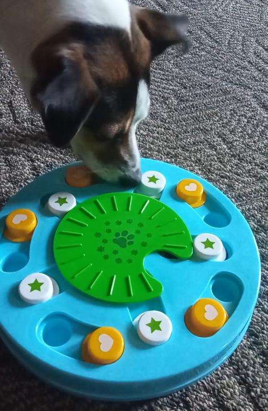 Ethical Pet Spot Seek-A-Treat Discovery Wheel Puzzle - CountryMax
