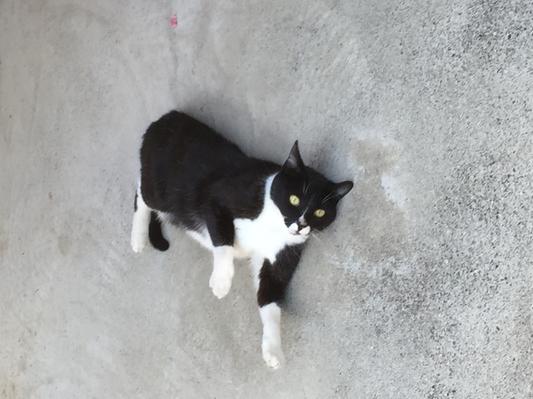 Miss Finicky