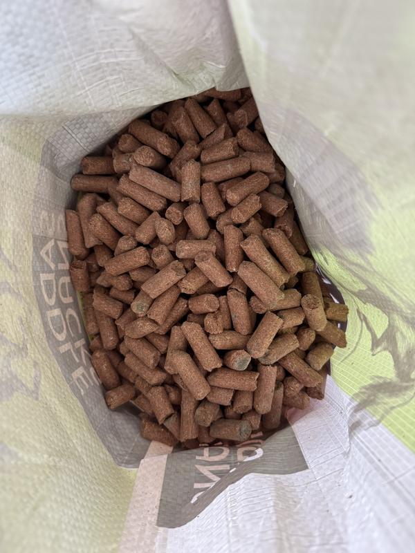 Second bag I got as a replacement