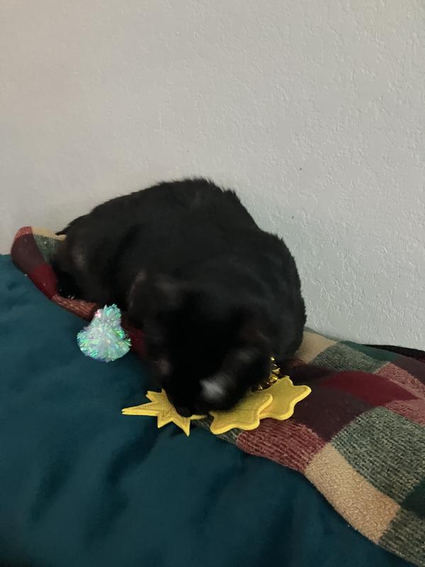 She went from sleepy to crazy in a second....