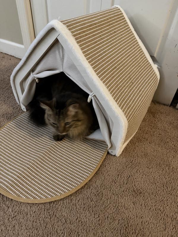 His new resting spot