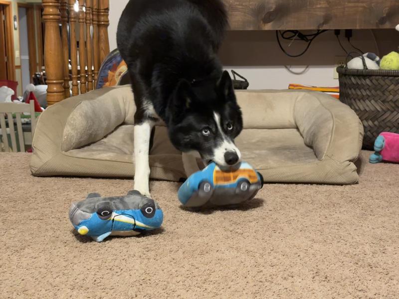 This one or that one