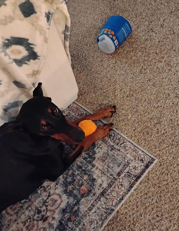 Cheeze puff balls are perfect not too soft or too hard with crinkle squeaky fun.