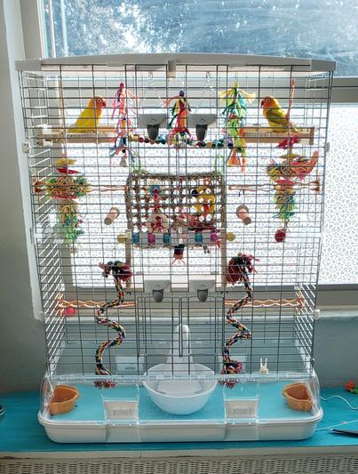 Vision Bird Cage pour petits oiseaux (M02) Double hauteur, petit fil -  Safari Pet Center