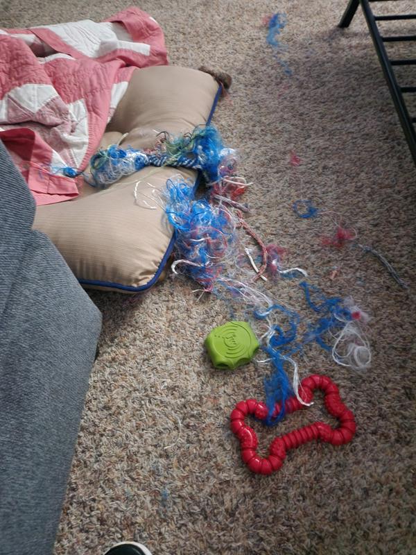 JW PET Giggle Tug Dog Toy