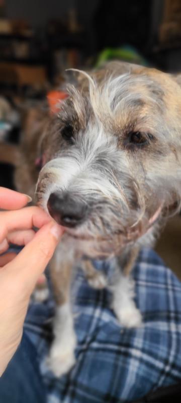 Taste test approved!