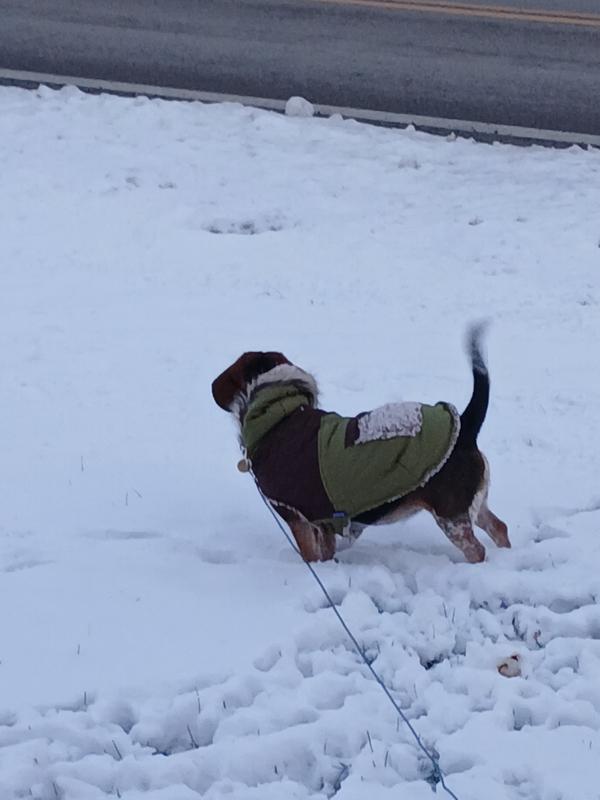 It's made really well like it's gonna last a good long time.